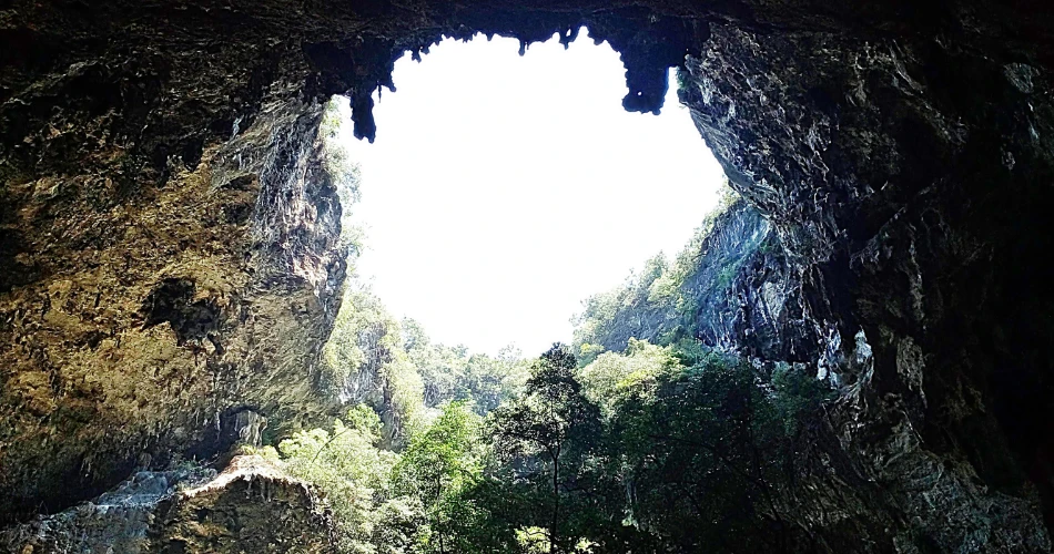 Tempat Trekking Malam Sekitar Mumbai untuk Pencinta Pengembaraan